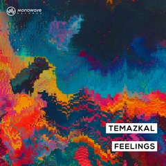 Temazkal - Feelings