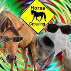 ⚠️‼️ATTENZIONE HORSE CROSSING ⚠️‼️
