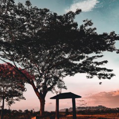 Walk in paradise