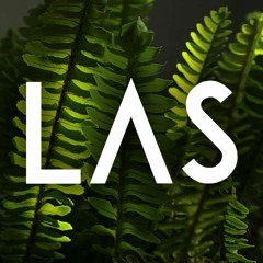 LAS 2024_Acme PromoMix