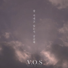 V.O.S - 잘 지내고 있는지 궁금해