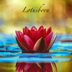 Lotusborn - Inspiring Meditation Nature Timelapse | Ambient Royalty Free Music for Mediataion & Yoga