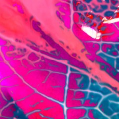 Dsundre - 528 Connectivity Tissue