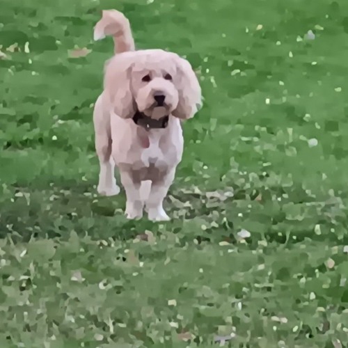 Cassidy_s-Shut-up-and-play-your-music-Dad_Song.mp3