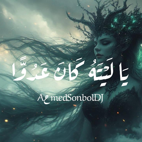 Aحmed Sonbol DJ | يَا لَيْتَهُ كَانَ عَدُوًّا