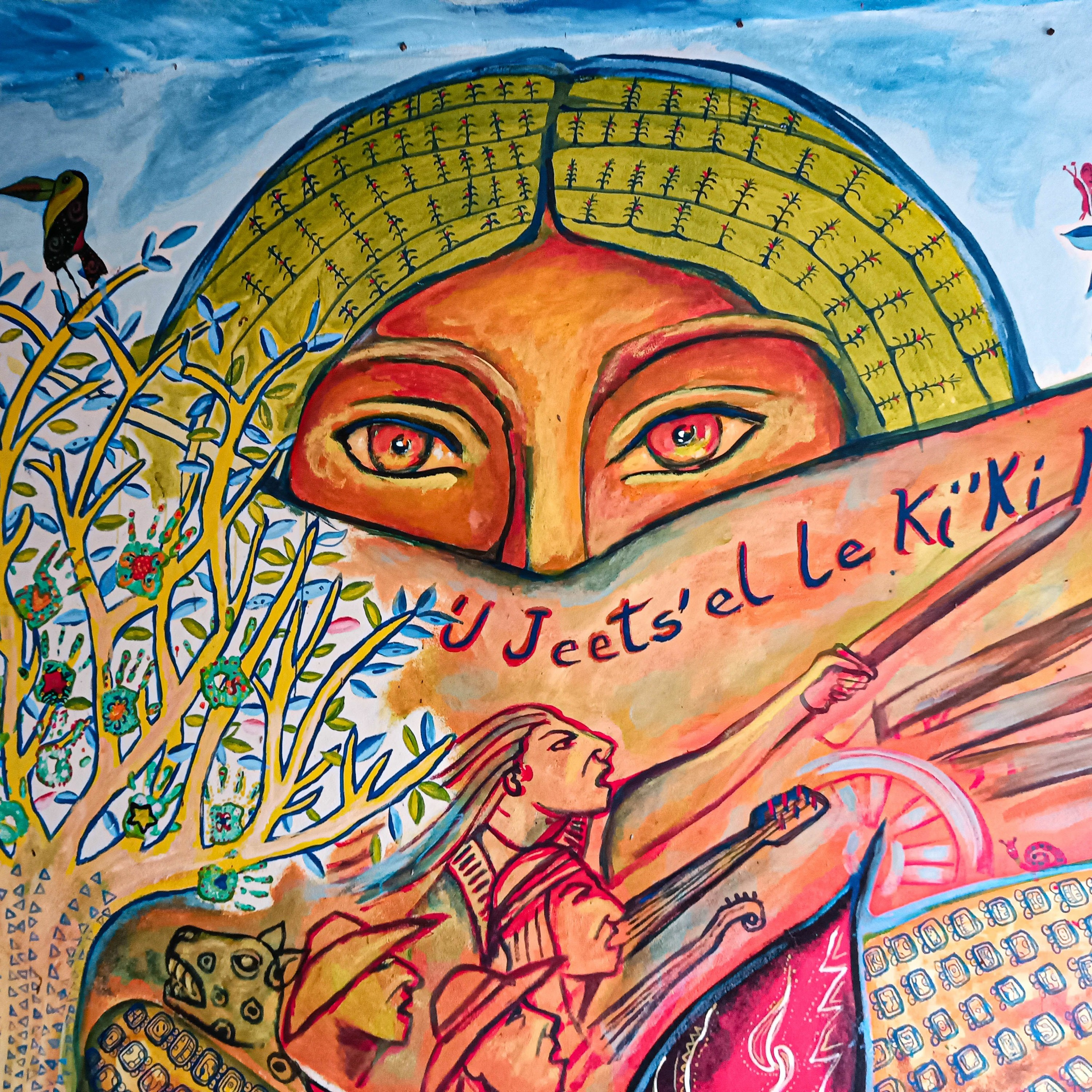 Indigenous Rights Radio