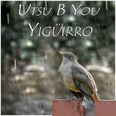 Yiguirro