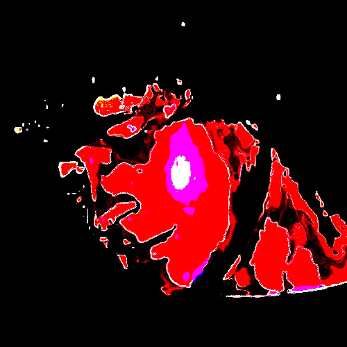 GATOR GUMBO GETS SET TO GATOR WUMBO