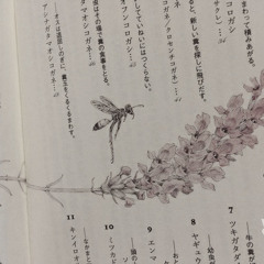 기약 없는 이별