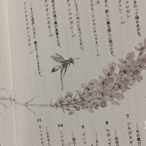 기약 없는 이별