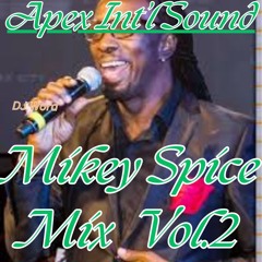 Mikey Spice Mix Vol.2