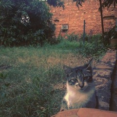 las olas (ella sola)