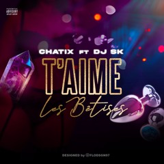 T'AIME LES BETISES -DJ SK FT CHATIX