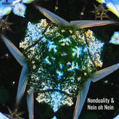 PREMIERE: Nonduality & Nein oh Nein - Unground (Earth Mix)