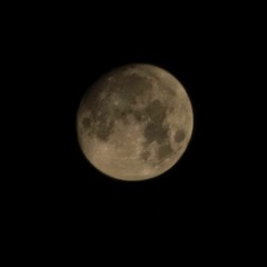 يا جمال الكون حولى قناة سنا