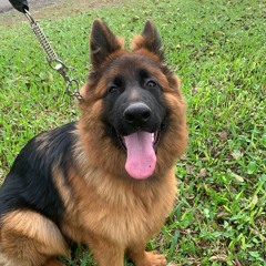 RSZN - fuck yó mind