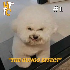 The Gungo Effect | HTPC #1