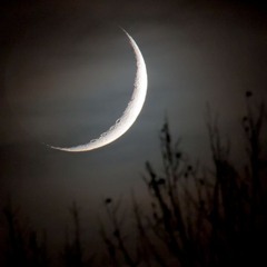 under crescents☾— Prod. sv1