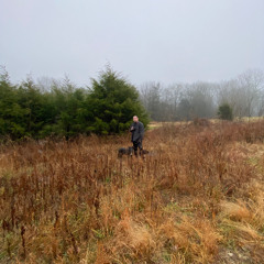 My Revival (St. Lucia Remix)