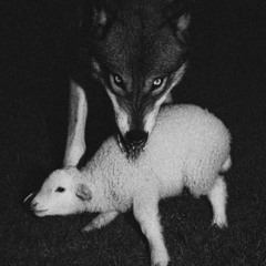 Schizophoria - IUsedToBeCool (Cover) (Greaf)