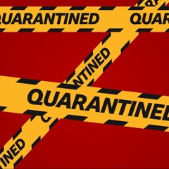 Quarantine Livestream Sale, Vic