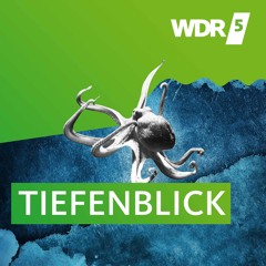 Verkehr ist immer - Radeln am Rande | WDR 5 Tiefenblick (06.11.2021)
