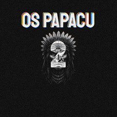 OS PAPACU 2 - DJ WENDELLSIILVA