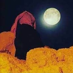 شيلة سعودية في ليل | أداء محمد الحلافي