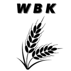 Blue Monday WBK Edit.mp3