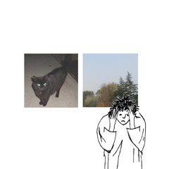 blot