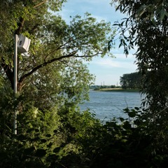 A series of personal questions addressed to the River Rhine_English language examples