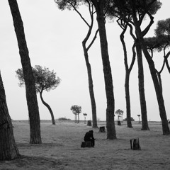 Other Pines, IV. The Pines As Refuge (Parco Del Pineto)