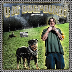 U AT DOGPOUND?