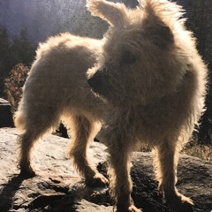 2025-04-12_WoW Stylewav