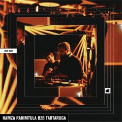 Wild City #241 - Hamza Rahimtula B2B Tartaruga
