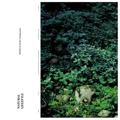 Natural Lifestyle (feat. Substantial) (Remix Version)