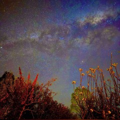 December Delicious Liquid DnB - Live @ The Grand,  Akaroa