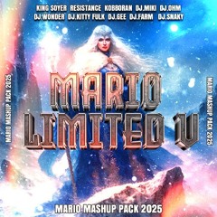 MARIO MASHUP - Limited 5 (2025)