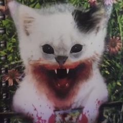 wake up prod videocat