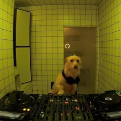 15 MINUTOS DE FODE FODE (LITERALMENTE SÓ MÚSICAS QUE FALAM FODE FODE)