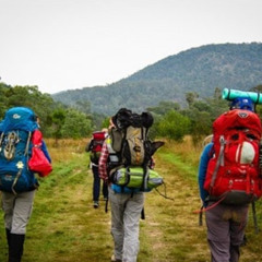 Mais qui va à l'auberge de jeunesse ?