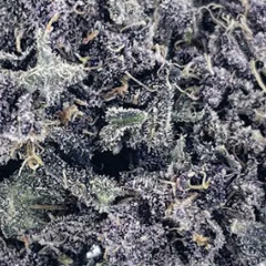 Lil Mabu x D Thang - Kesha Drill