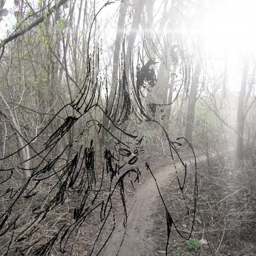 the scent of lilac is everywhere