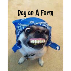 “Dog On A Farm”