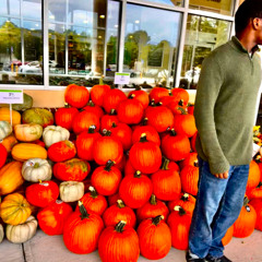 i didn’t say anything/ you knew why