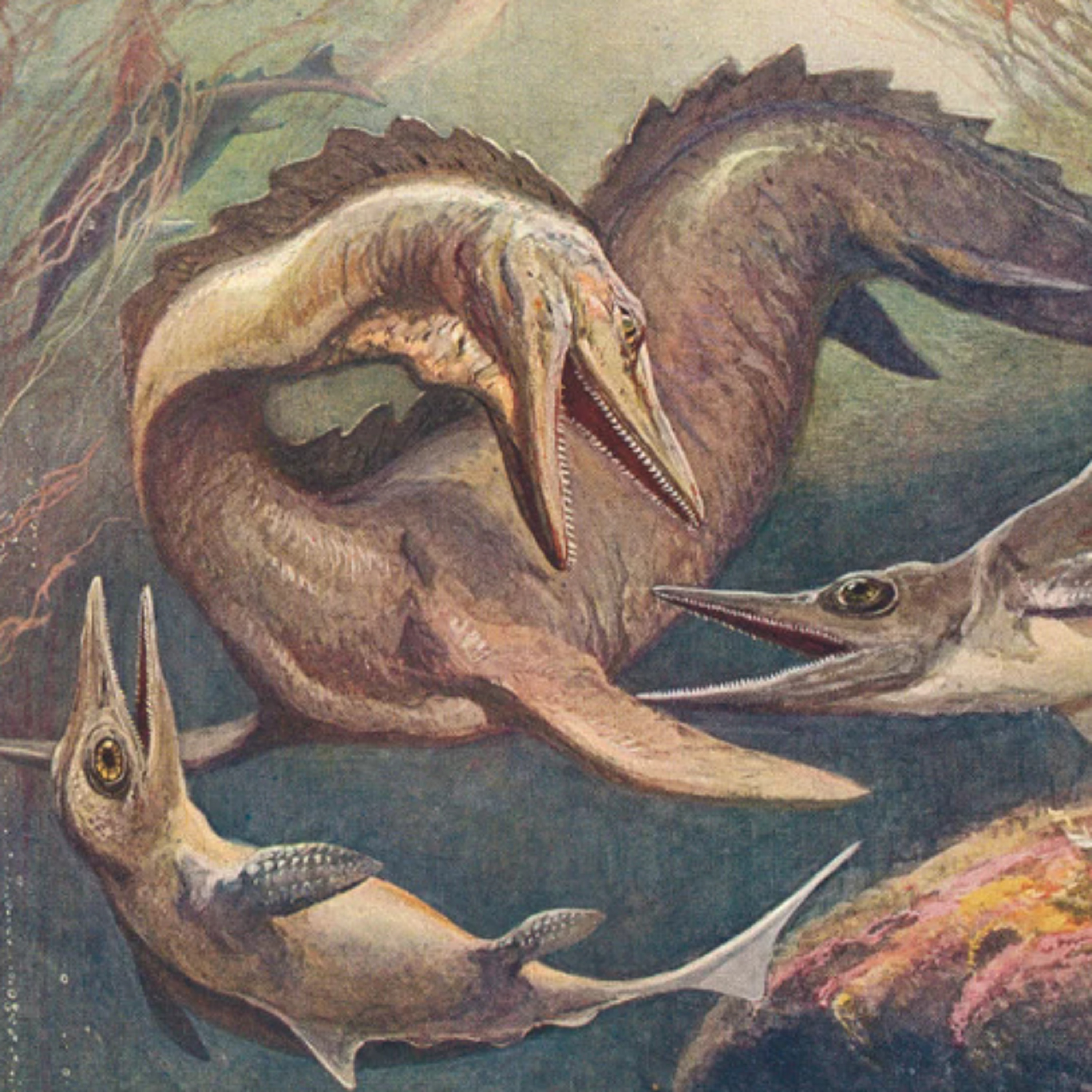 Convergent Evolution episode artwork