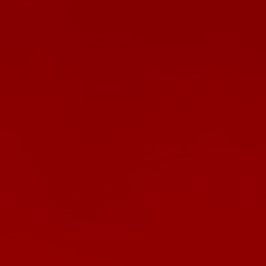 Fuzzy Words- Lotje, Abe Verlaan (MASTER)