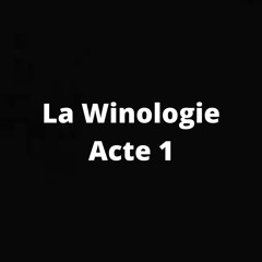La Winologie Acte 1 : Slow Wine