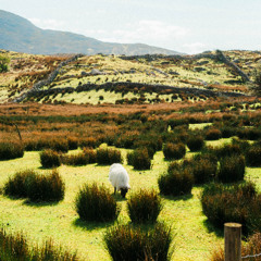 Stay on the Farm (full version)