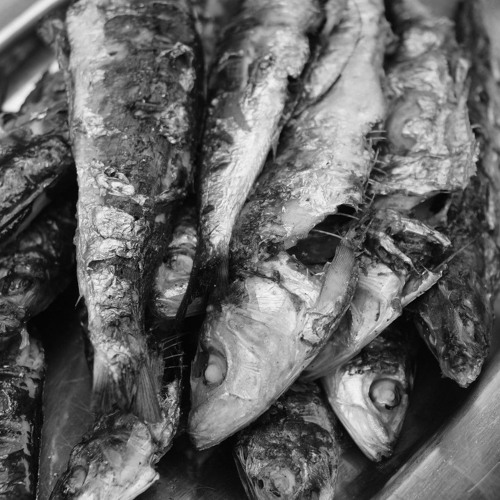 happy hour felichef + jules.wav